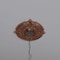 Ekena Millwork Attica PVC Ceiling Medallion (Fits Canopies up to 5"), Bright Coat Copper, 13"OD x 3 1/2"ID x 3/4"P CMP13ATBCO - alternate 6
